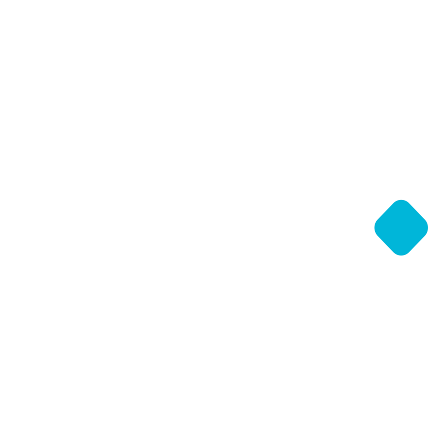 Seamless Intelligence Logo